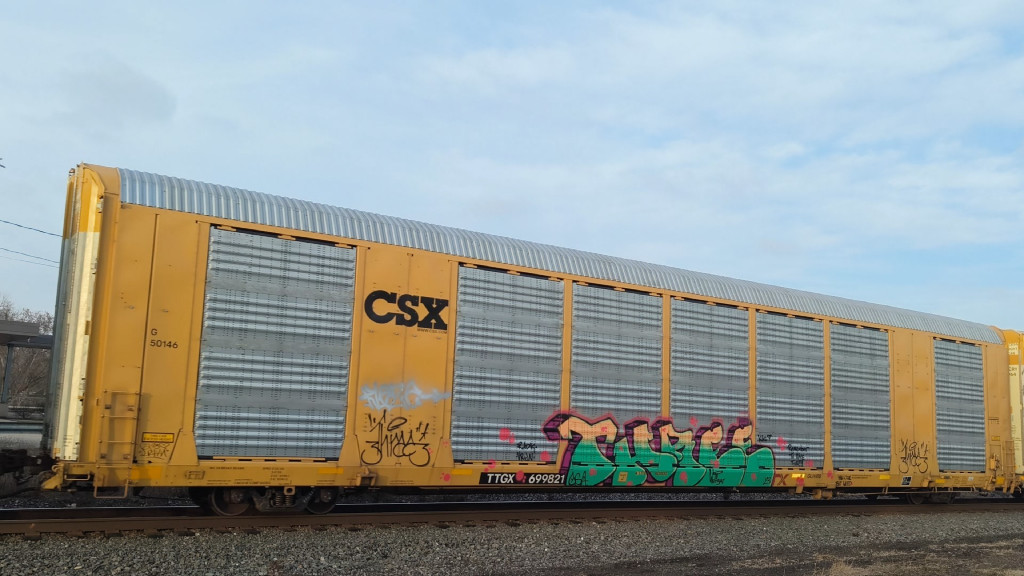 CSX G50146 (Body) TTGX 699821 (Flat)